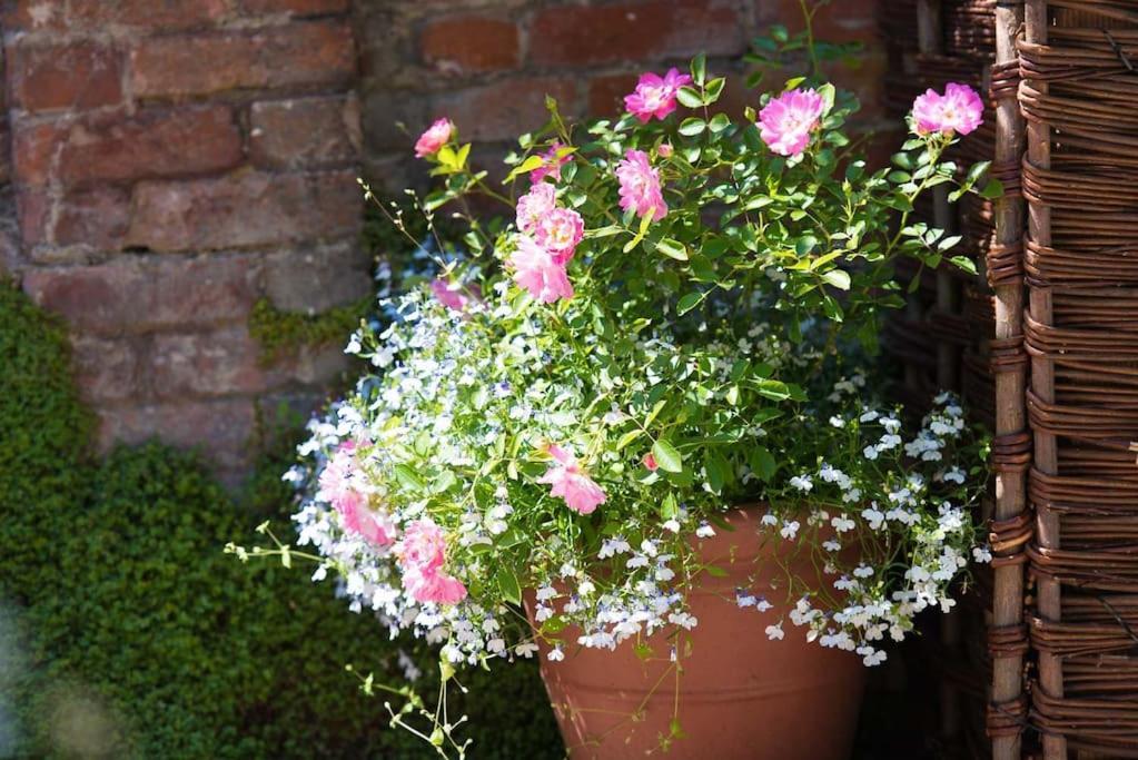 Wren Cottage, A Very Cosy Historic Coastal In A Pretty Little Village